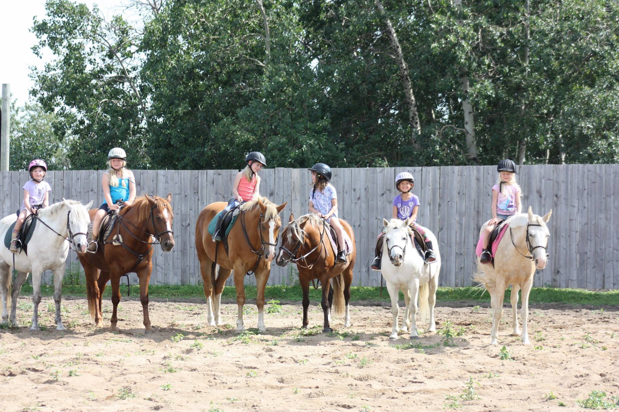 Finnegan Farms