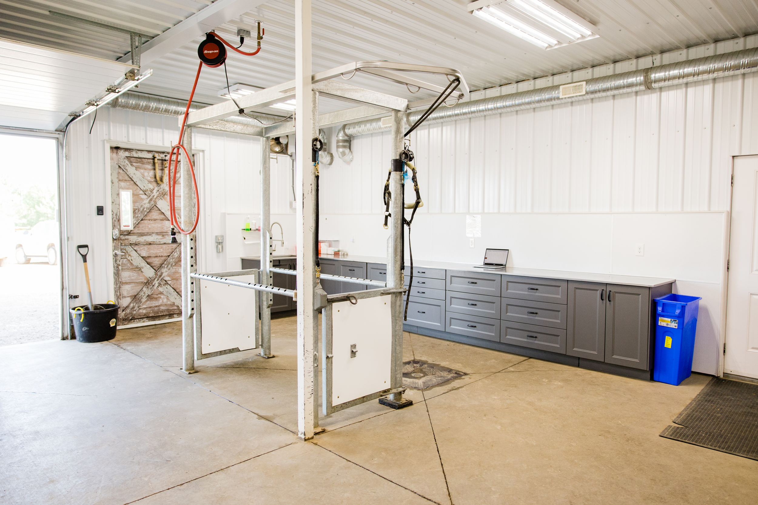 Westhills Equine Veterinary Services