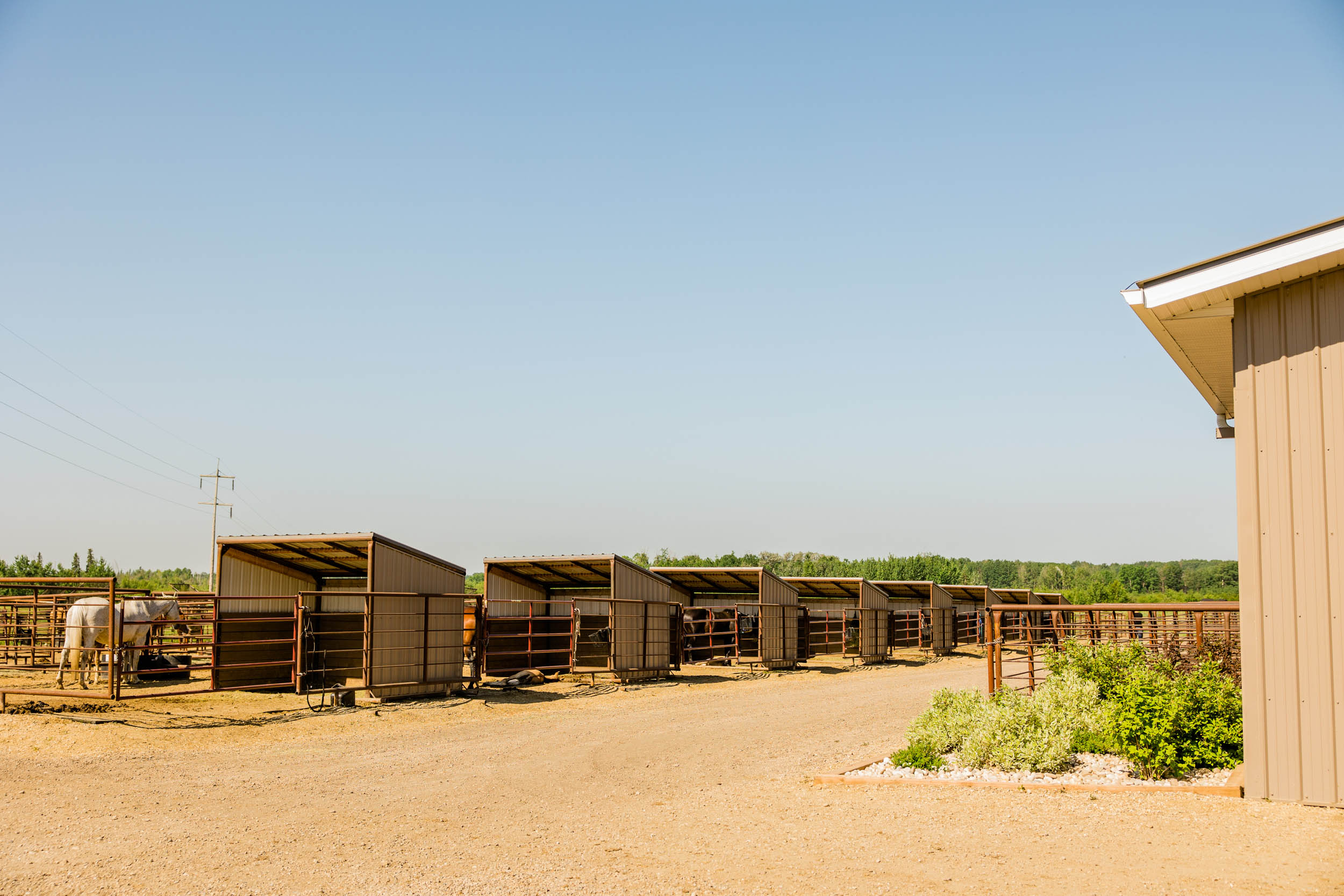 Westhills Equine Veterinary Services