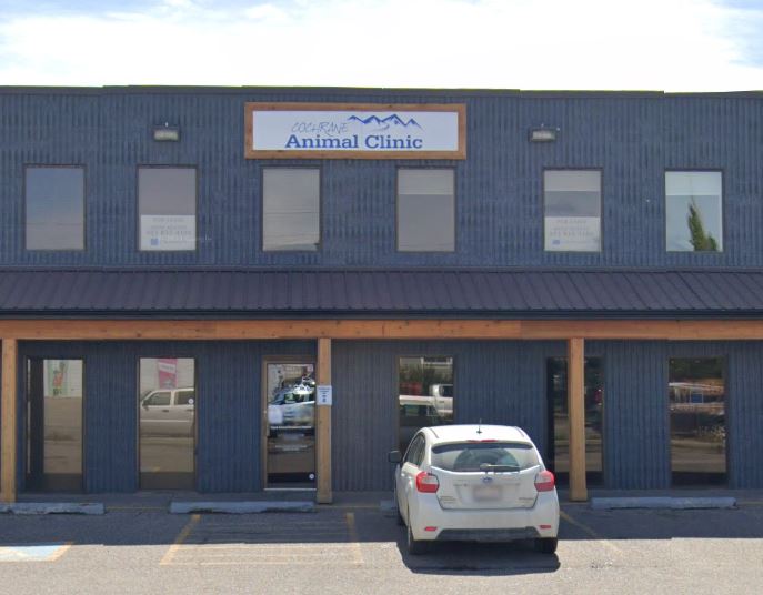 Cochrane Animal Clinic Ltd.