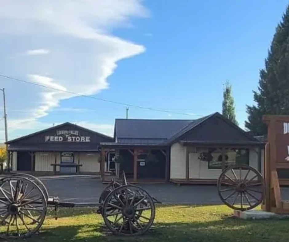 Diamond Valley Veterinary Clinic