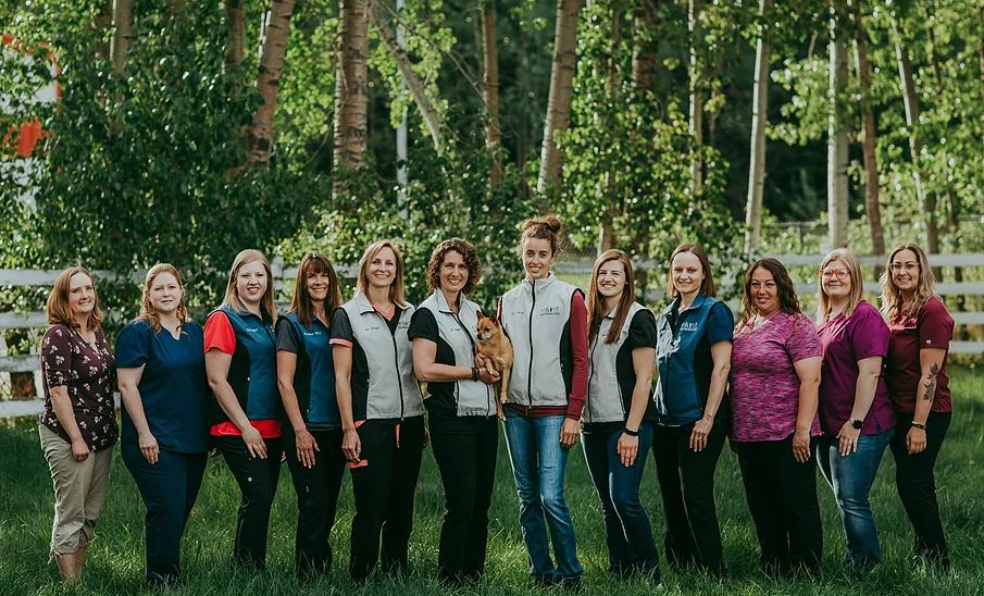 Edson Veterinary Clinic