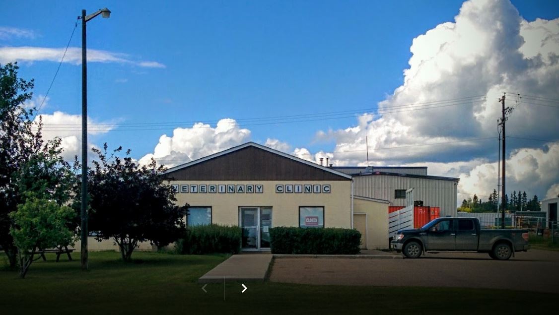 Fairview Veterinary Clinic