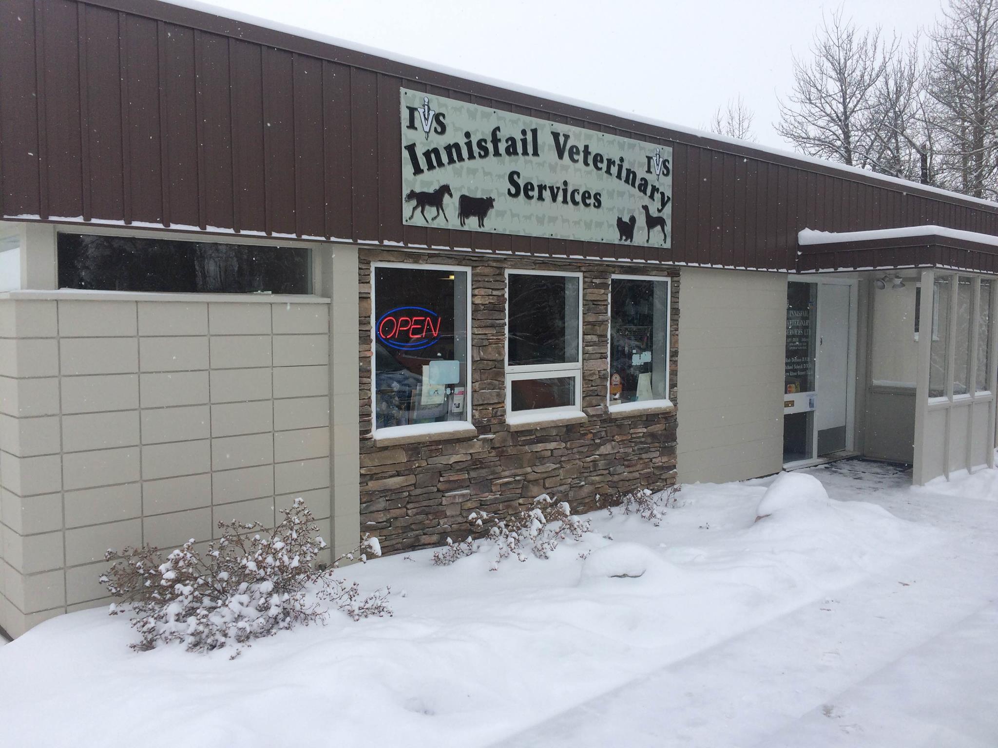 Innisfail Veterinary Services