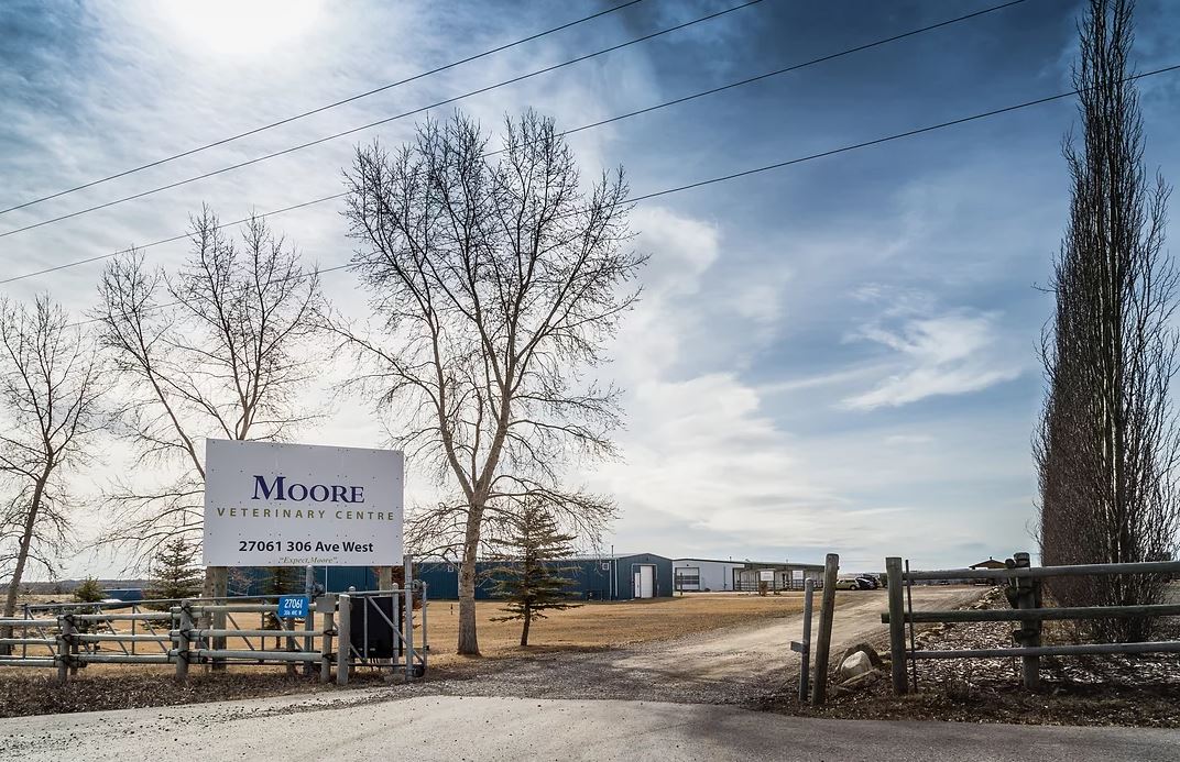 Moore Equine South