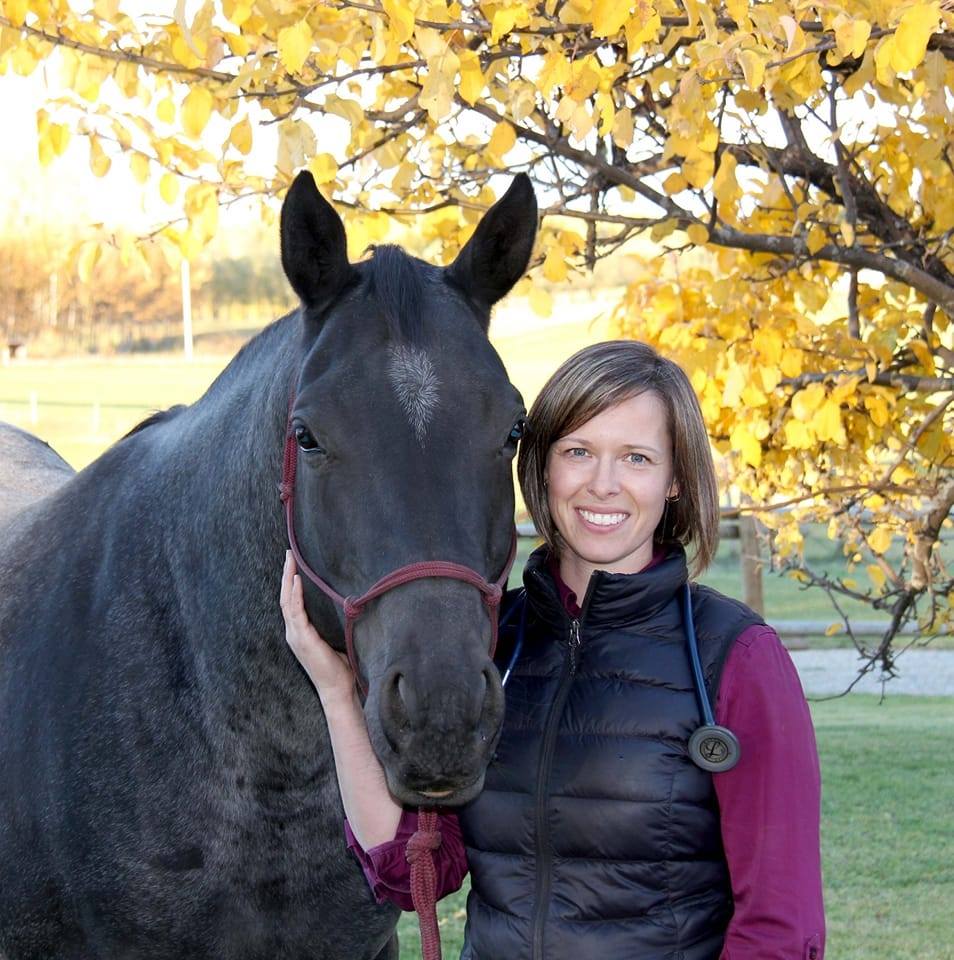 Solstice Veterinary Clinic