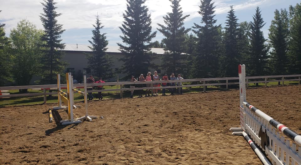 Ridge View Equestrian