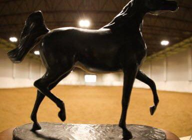 118311024_615667762423829_6716496896809063571_n