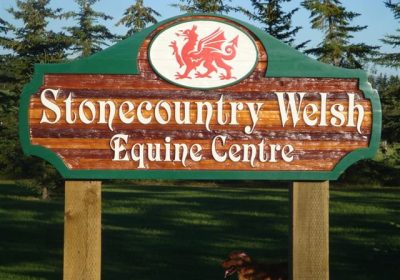 304011244_419966966868019_5847672963818497632_n