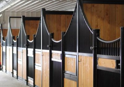 31507612_195061767969716_828468349238247424_n