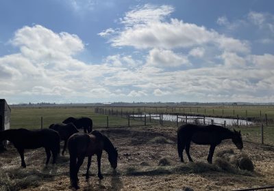 345915840_3153079768325746_3363237685366583684_n