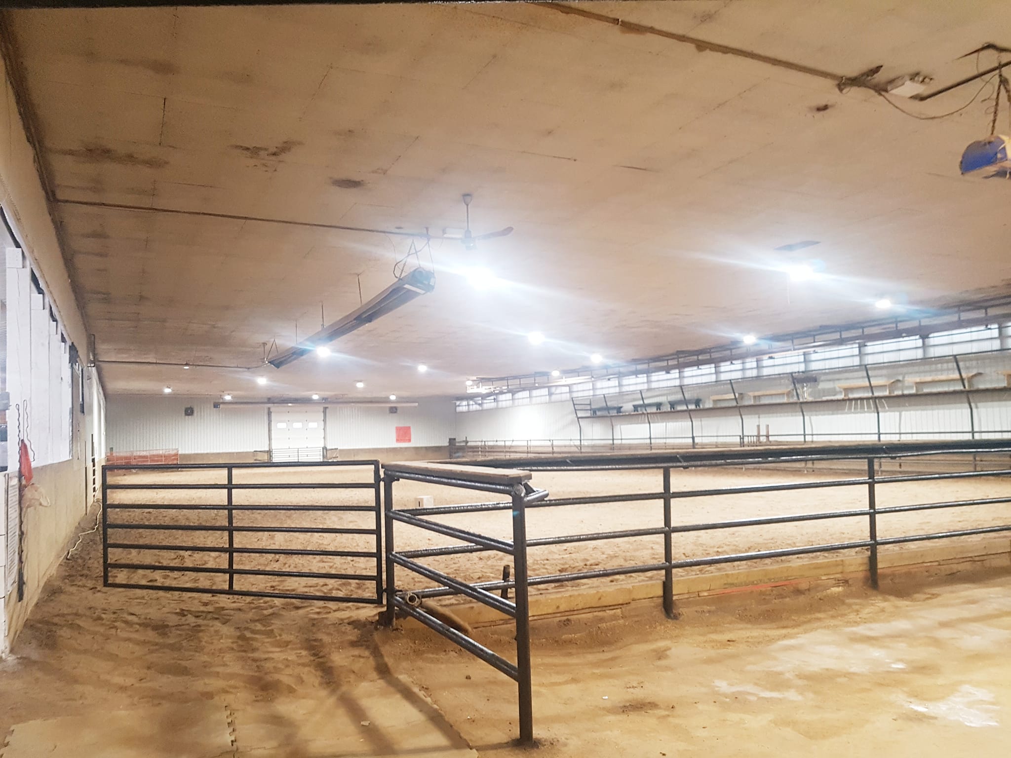 Black Magic Quarter Horses & Big Rock Arena