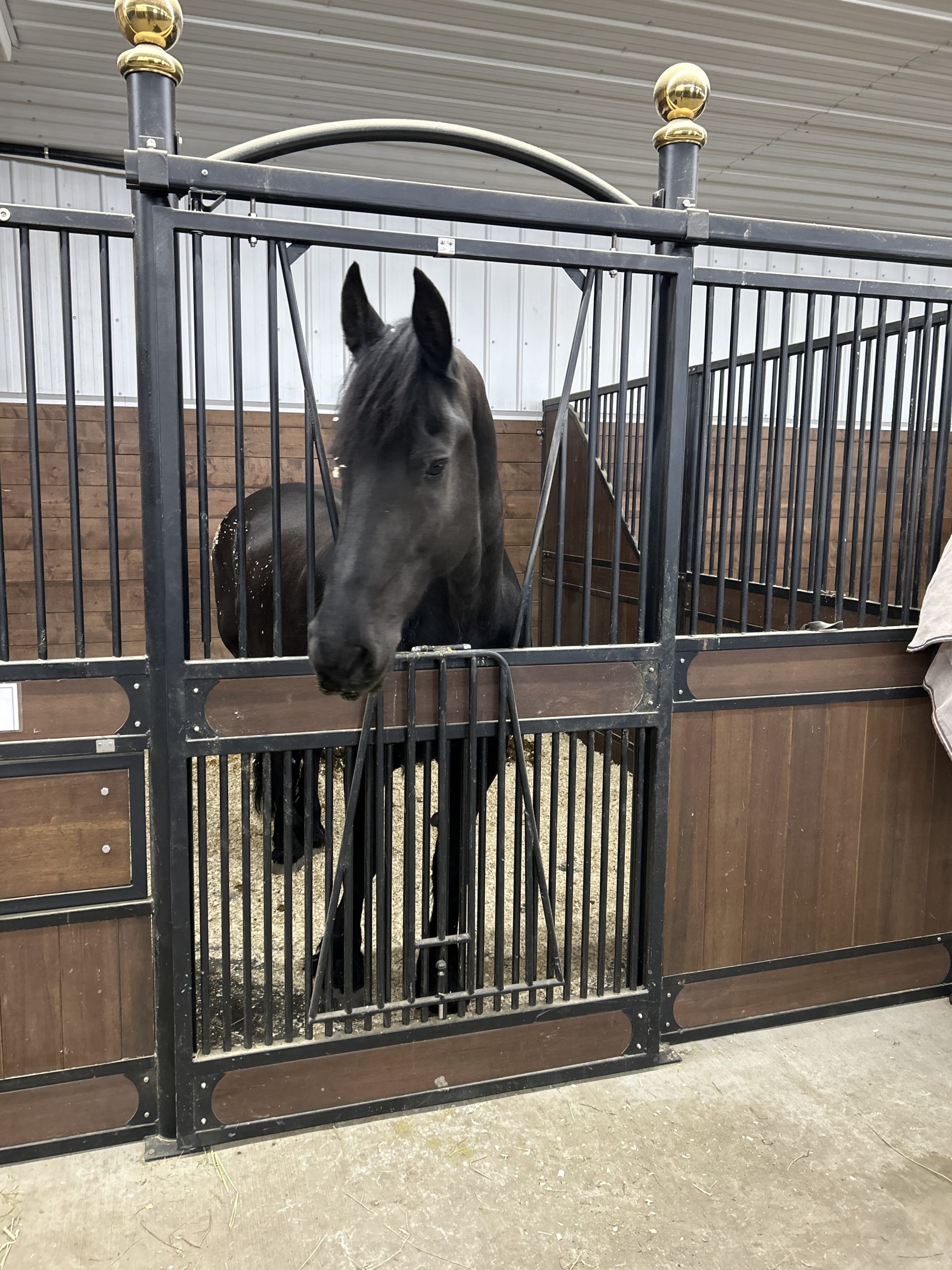 Brookville Road Stable