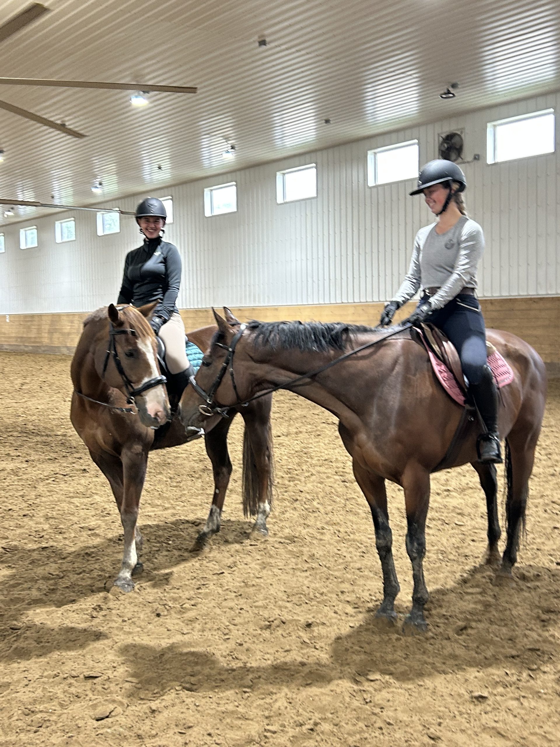 Brookville Road Stable