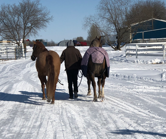 Screenshot-2024-02-26-105341