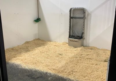 WhatsAppImage2023-10-30at2.38.15PM