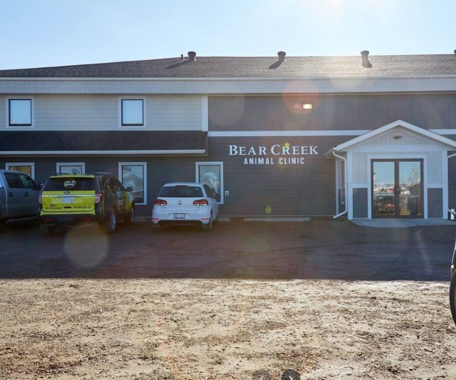 Bear Creek Animal Clinic