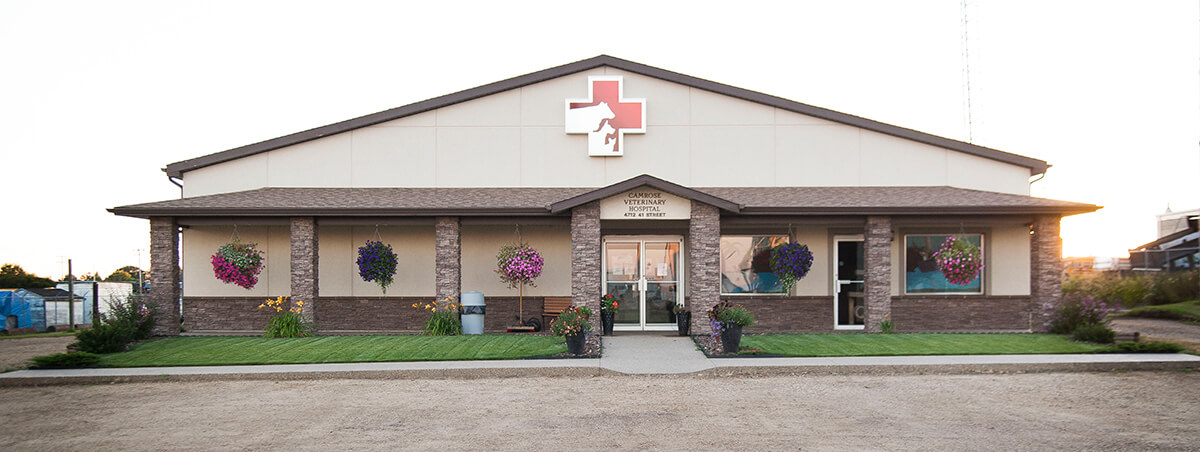 Camrose Veterinary Hospital