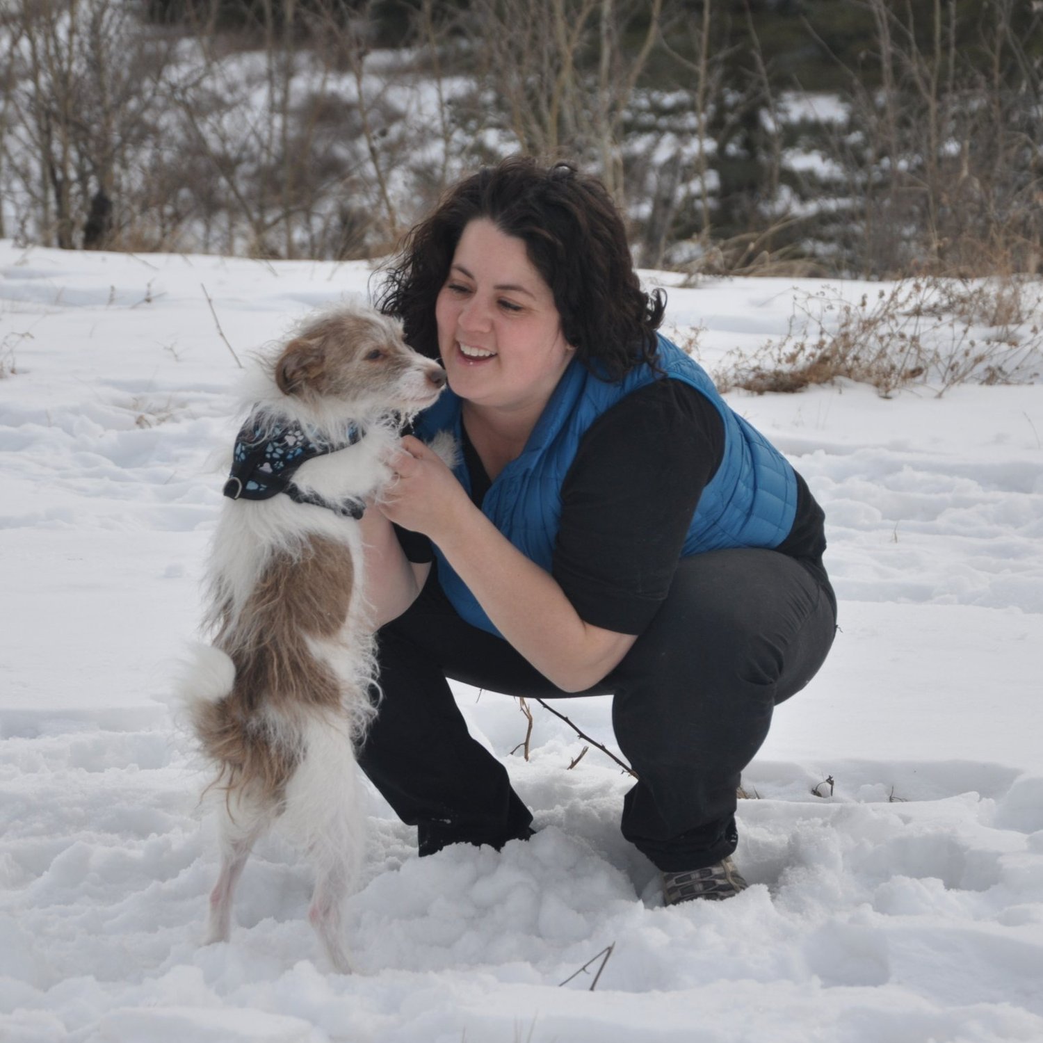 Veterinary Integrated Care Services