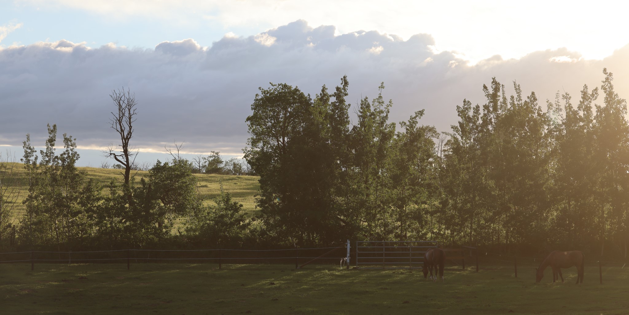 Klondike Victory Farm