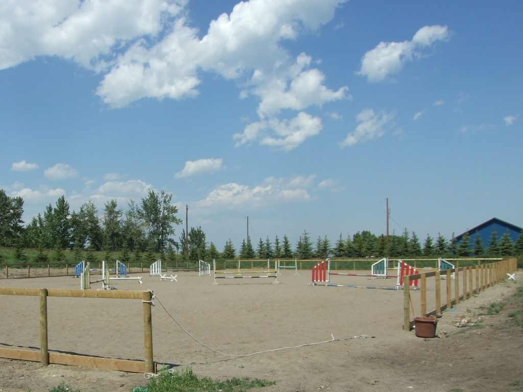 Millennium Equestrian