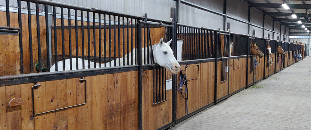Vale’s Prairie Trails