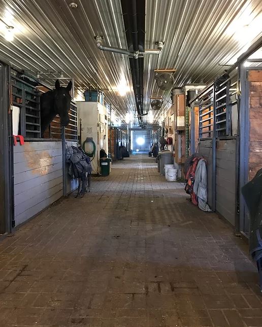 Windhaven Enterprises