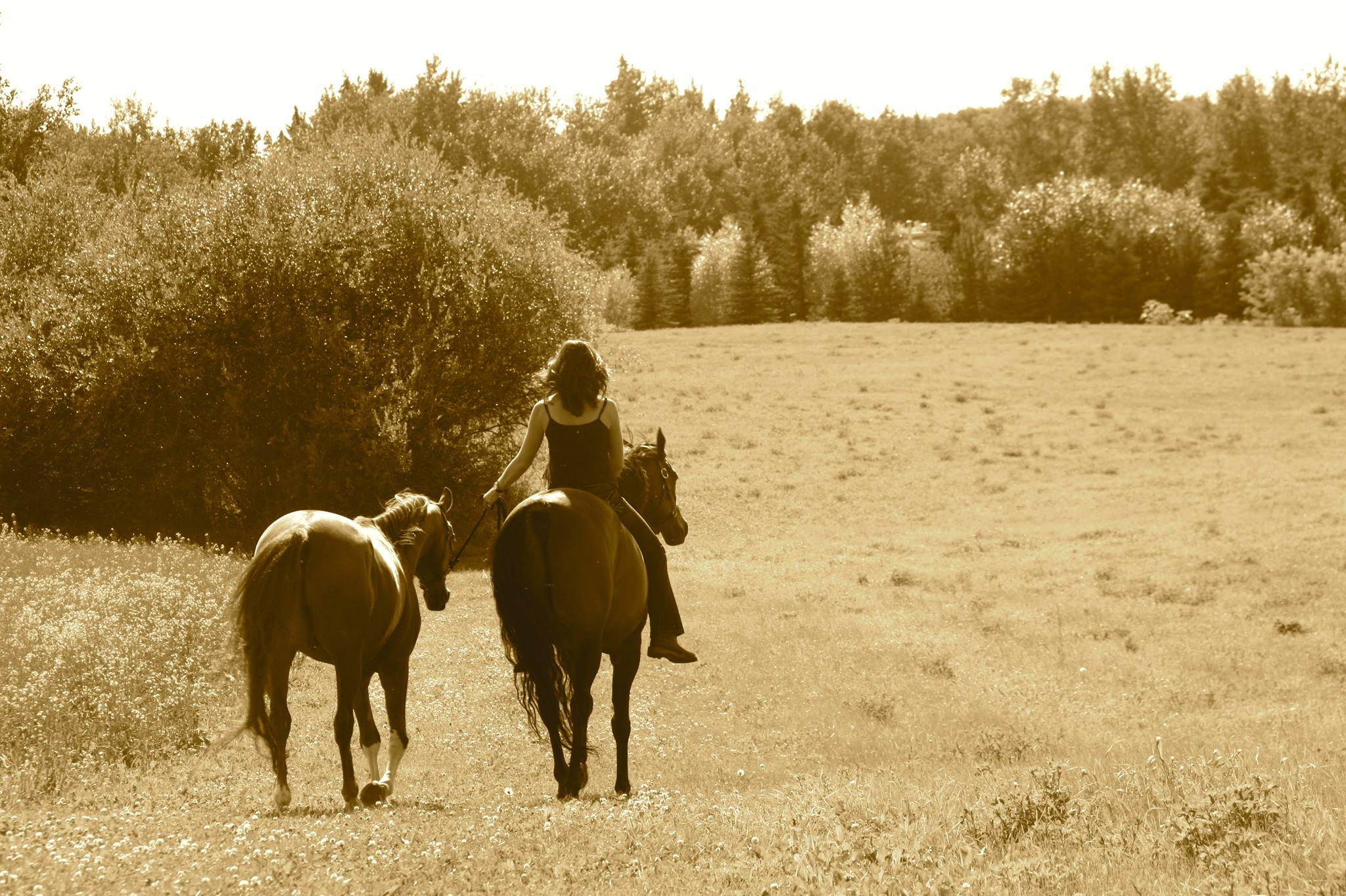 Aspen Fire Farms