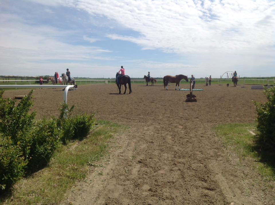 Burnt Lake Stables
