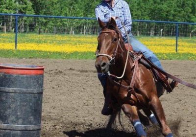 20914265_1689843171049964_3767153609191106535_n