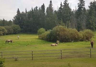 22528574_1973949982889189_6177337582893545777_o