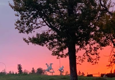 243314936_228668705980452_5455690748053602779_n