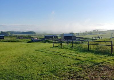 291671919_446479410818701_4069281644180804593_n