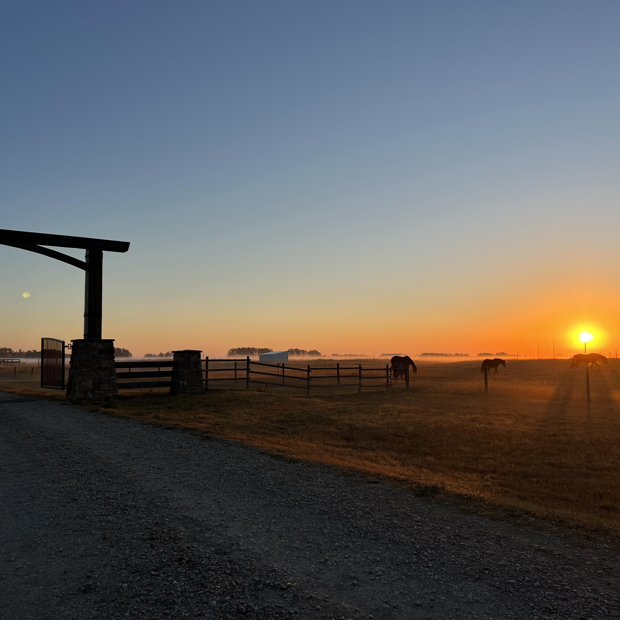 Fox Ridge Farms Equestrian
