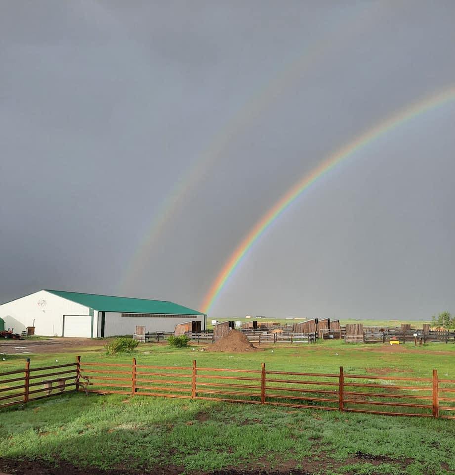 Mane Stage Stables