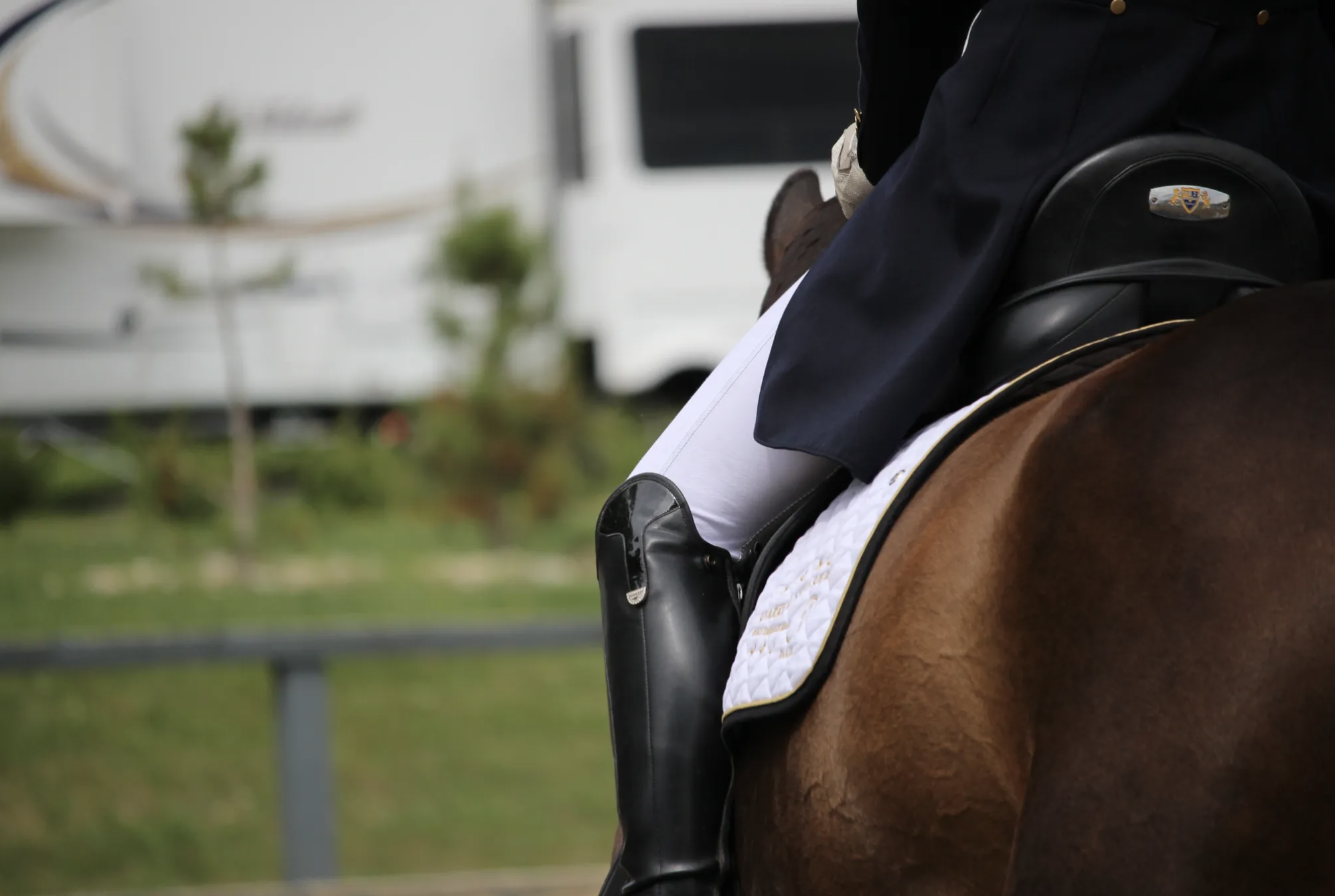 Dressage Studio Inc.
