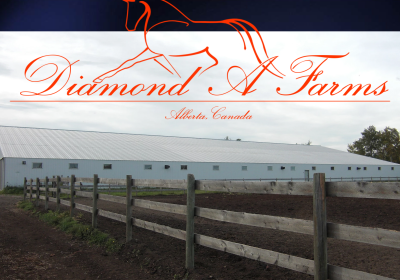 Screenshot-2021-07-22-153336