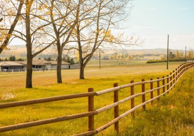 Teesdale-BGPD8509387142524Web