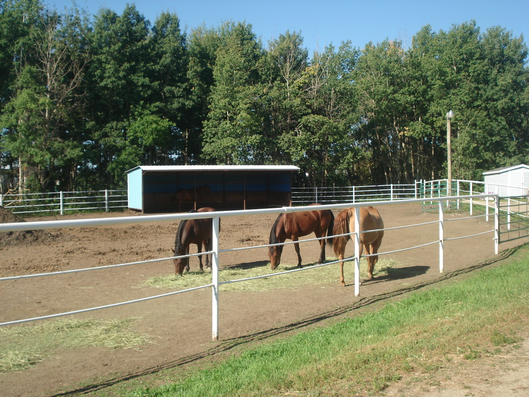Heatherdown Hills Arena