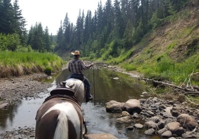 inbound2095330844559866686