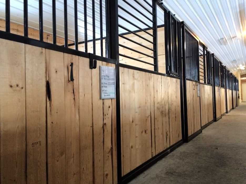 Kaspian Equestrian Training Centre