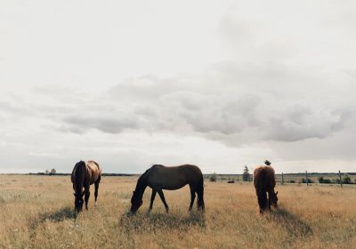 294661205_470788861638776_7306402892395466552_n