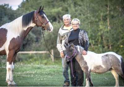 Screen-Shot-2021-06-20-at-3.04.12-PM