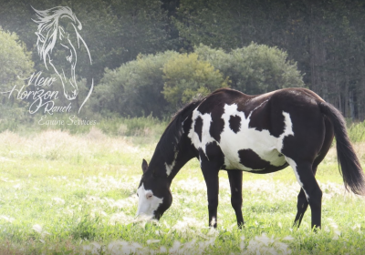 Screen-Shot-2021-06-20-at-3.25.58-PM