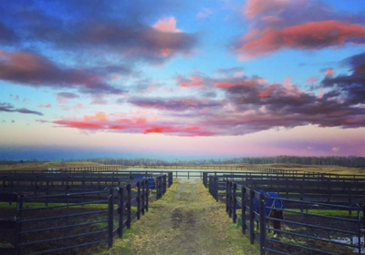 Screen-Shot-2021-06-26-at-8.02.51-PM