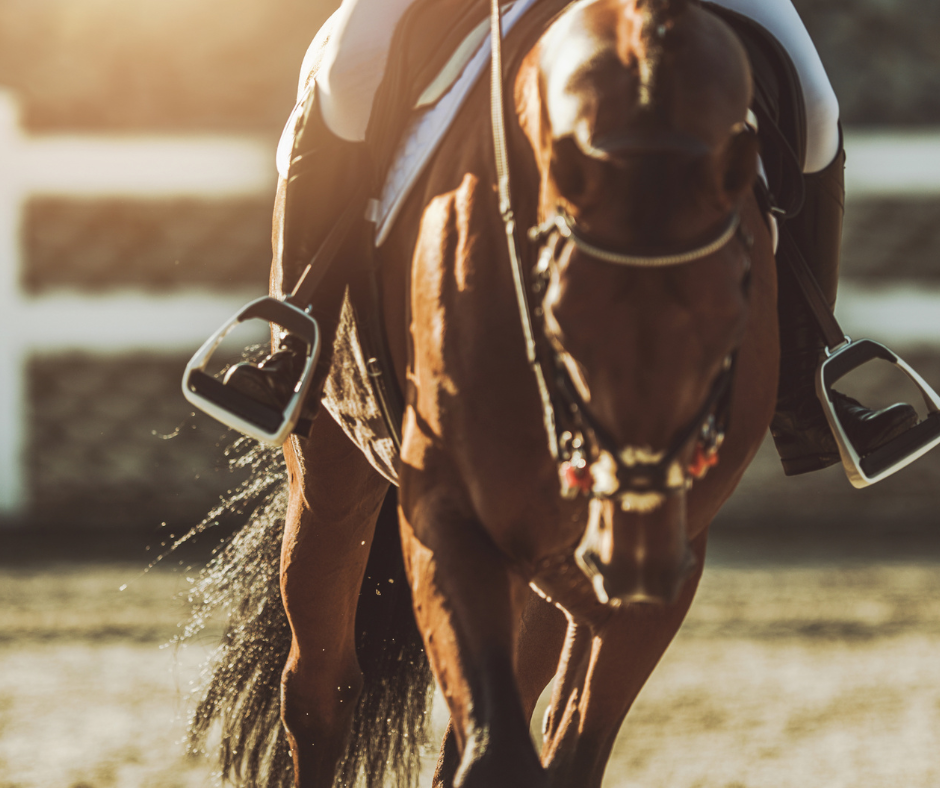 Rycor Equestrian Centre