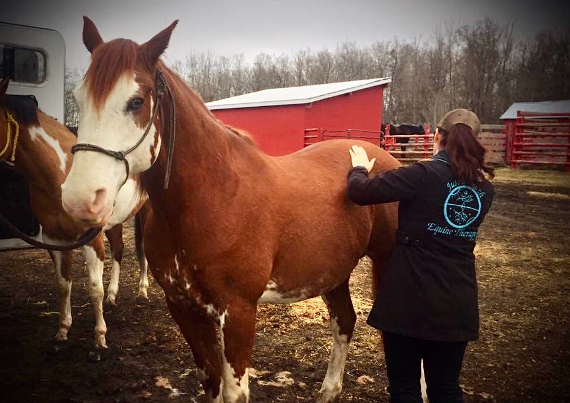 Natural Touch Therapy Institute