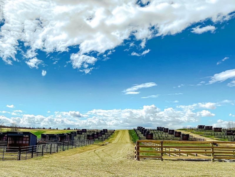 Parkland Equestrian Centre