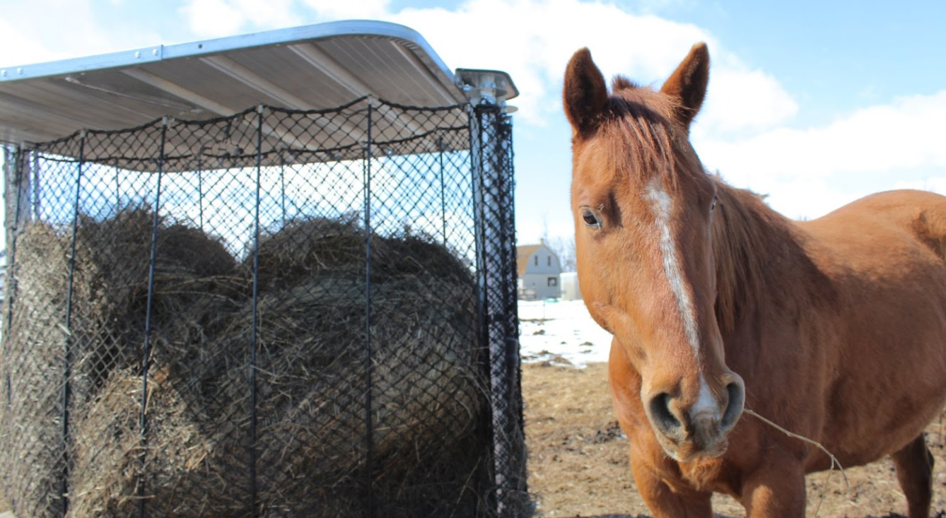 HayBoss Feeders