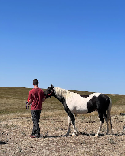 Healing Grounds by Keys to Hope